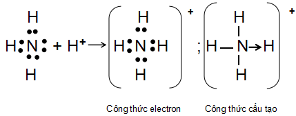 Sơ đồ sự tạo thành ion NH4+
