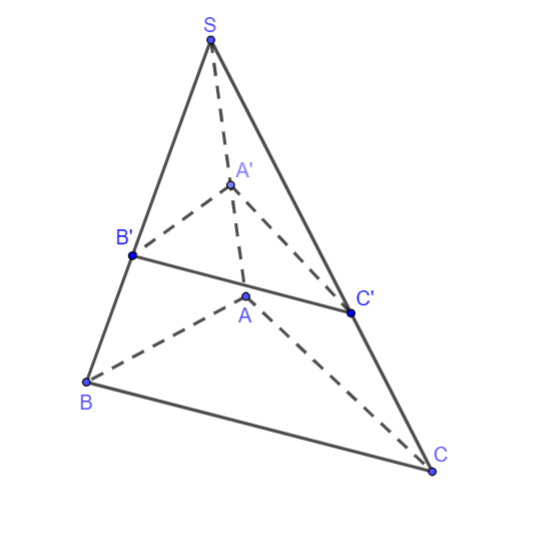 Chọn phát biểu đúng