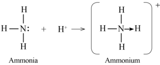 Sơ đồ mô tả sự hình thành liên kết cho – nhận trong cation ammonium