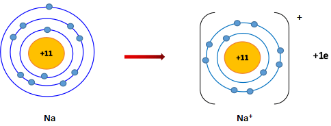 Sự hình thành ion Na+