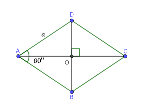 Chọn kết luận đúng