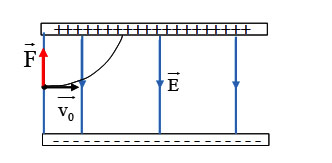 Chọn nhận xét đúng