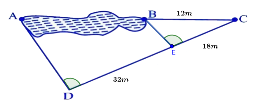 Điền đáp án vào chỗ trống