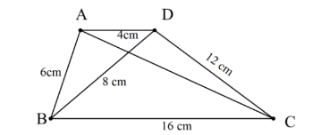Các trường hợp đồng dạng của tam giác