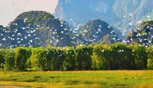 Khu bảo tồn thiên nhiên Vân Long