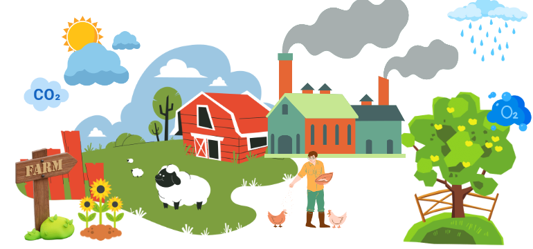 Môi trường sống