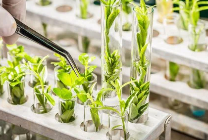 Bảo tồn đa dạng sinh học