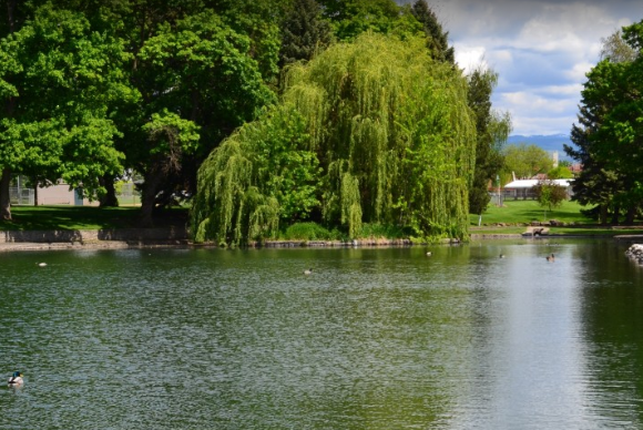 Khu vực nước đứng