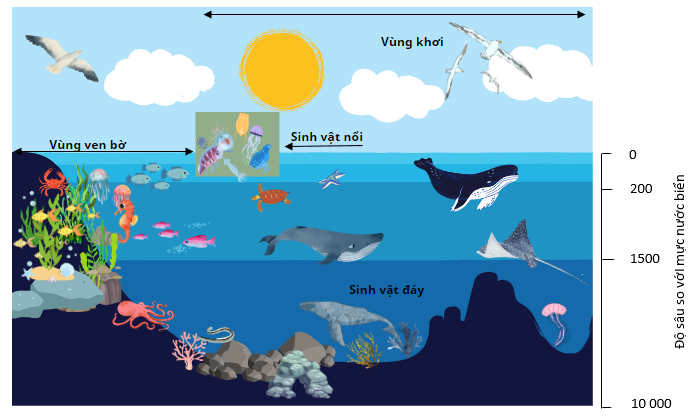 Các khu sinh học biển