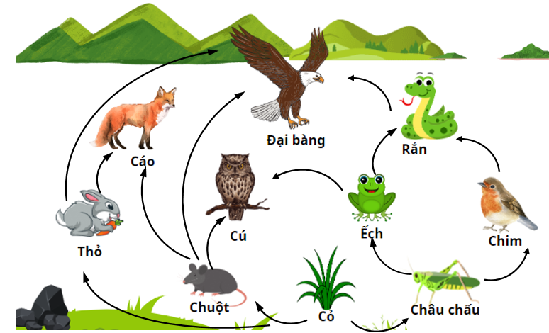 Mối quan hệ dinh dưỡng giữa các loài trong quần xã