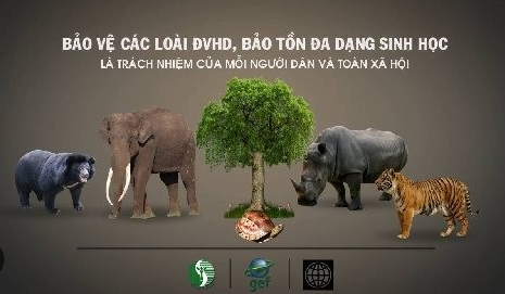 Chung tay bảo vệ động vật hoang dã