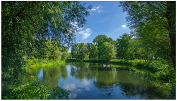 Hệ sinh thái nước đứng