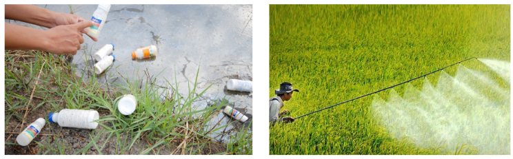 Ô nhiễm môi trường do hóa chất bảo vệ thực vật