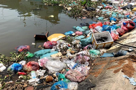 Xả rác bừa bãi