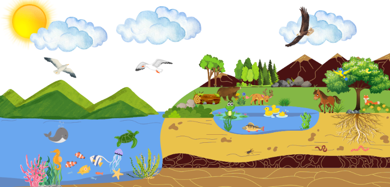 Các loại môi trường sống của sinh vật
