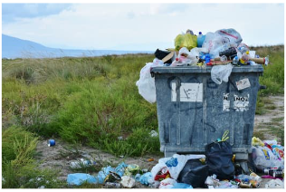 Hạn chế tác động xấu của con người