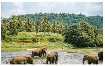 Khu bảo tồn quần xã sinh vật