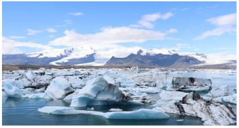 Quần xã sinh vật ở vùng cực