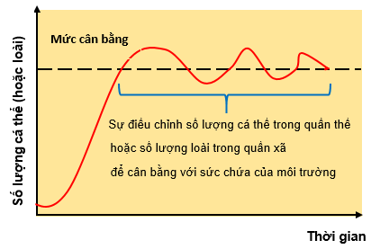 Sự biến đổi giữa hai trạng thái cân bằng và mất cân bằng trong tự nhiên