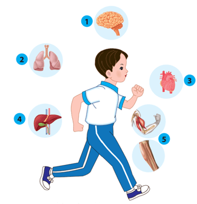 Học sinh đang chạy