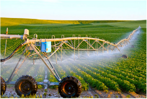 Ô nhiễm không khí