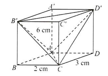 Khoảng cách trong không gian CTST