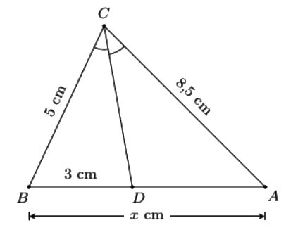 Đề thi học kì 1 Toán lớp 8 Kết nối tri thức (Đề 2)