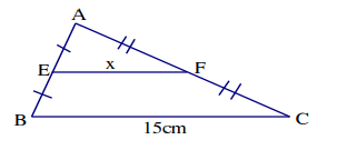 Đề thi học kì 1 Toán lớp 8 Kết nối tri thức (Đề 4)
