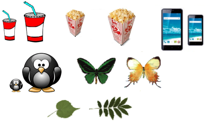 Đề thi giữa học kì 2 Toán lớp 8 Kết nối tri thức năm học 2023 - 2024 (Đề 4)