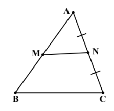 Đề thi giữa học kì 2 Toán lớp 8 Chân trời sáng tạo năm học 2023 - 2024 (Đề 3)