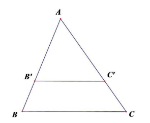 Đề thi giữa học kì 2 Toán lớp 8 Chân trời sáng tạo năm học 2023 - 2024 (Đề 5)