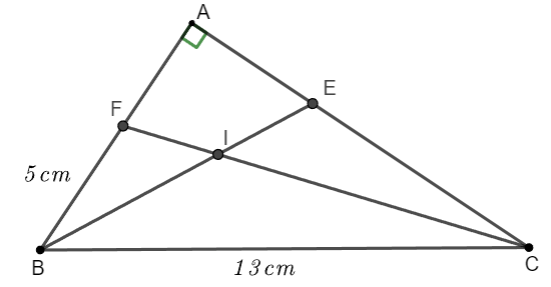 Tỷ số lượng giác của góc nhọn
