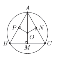 Sự xác định đường tròn, tính chất đối xứng của đường tròn Toán 9