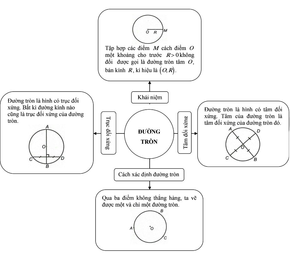 Sự xác định đường tròn, tính chất đối xứng của đường tròn Toán 9