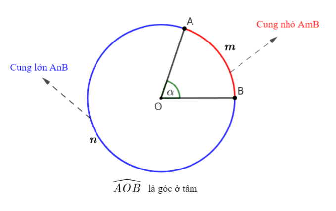 Góc ở tâm. Số đo cung Toán 9