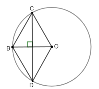 Góc ở tâm. Số đo cung Toán 9