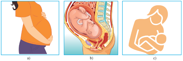 Con đường lây truyền virus từ mẹ sang con