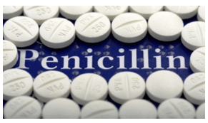 kháng sinh penicillin