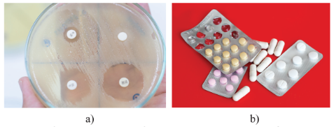 Tuyển chọn vi sinh vật tổng hợp kháng sinh (a) và thuốc kháng sinh (b)