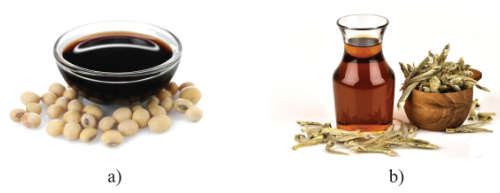 Ứng dụng vi sinh vật phân giải protein trong sản xuất nước tương (a) và nước mắm (b)