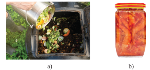 Ứng dụng vi sinh vật phân giải polysaccharide để sản xuất phân bón hữu cơ (a) và làm tôm chua (b)