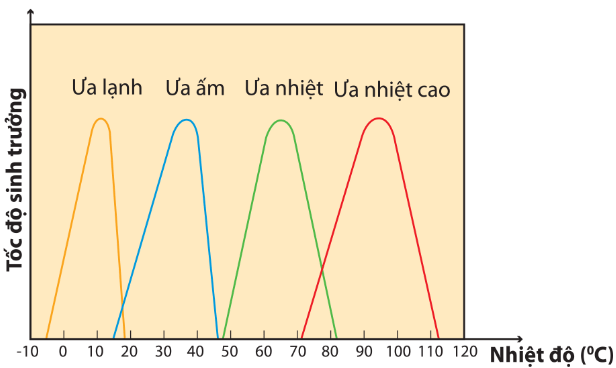 Tốc độ sinh trưởng của các nhóm vi sinh vật ở các điều kiện nhiệt độ khác nhau