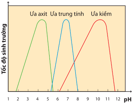 Tốc độ sinh trưởng của các nhóm vi sinh vật ở điều kiện pH khác nhau